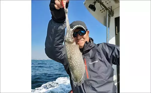 「東京湾で80cm級「極太」サワラがヒット！【けやき丸】エギングにはシリヤケイカが好反応」の画像