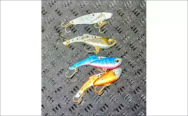 「無限『ハク』地獄に大苦戦！ リバーシーバスゲームで60cm級本命手中【千葉】」の画像