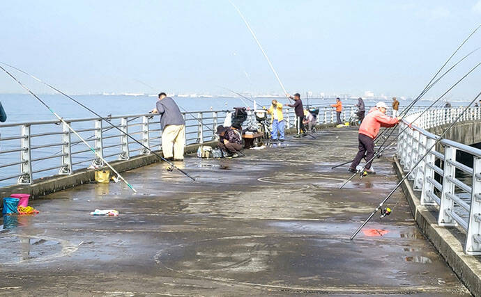 『検見川浜の突堤』でのサビキ釣りでカタクチイワシ発見！【千葉】