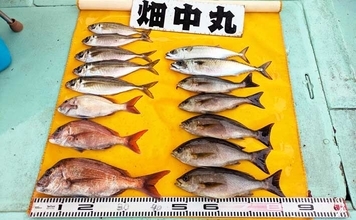 伝統釣法「高仕掛け」で速潮を攻略成功！ マダイ・アジ・イサギが続々【畑中丸・加太】