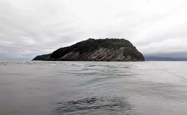 「伝統釣法「高仕掛け」で速潮を攻略成功！ マダイ・アジ・イサギが続々【畑中丸・加太】」の画像