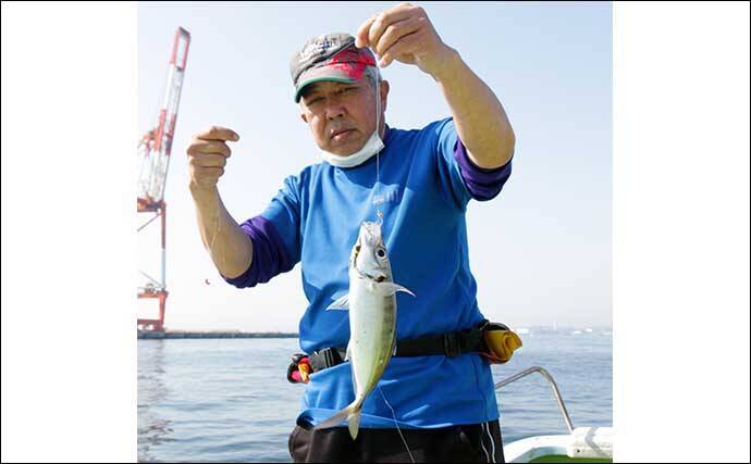 東京湾LT（ライトタックル）アジ船で半日で100尾超え【横浜・黒川本家】