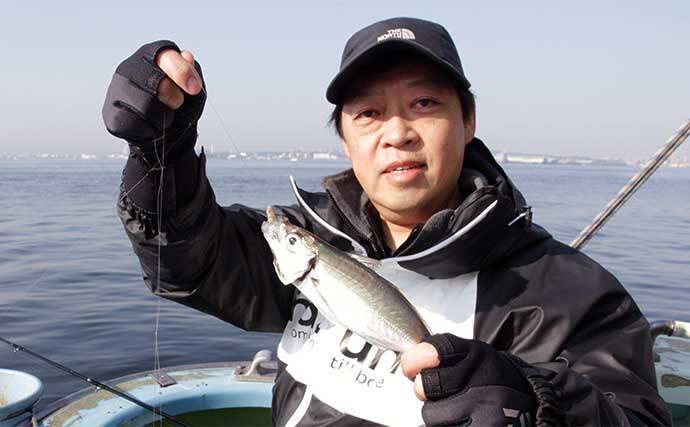 東京湾LT（ライトタックル）アジ船で半日で100尾超え【横浜・黒川本家】