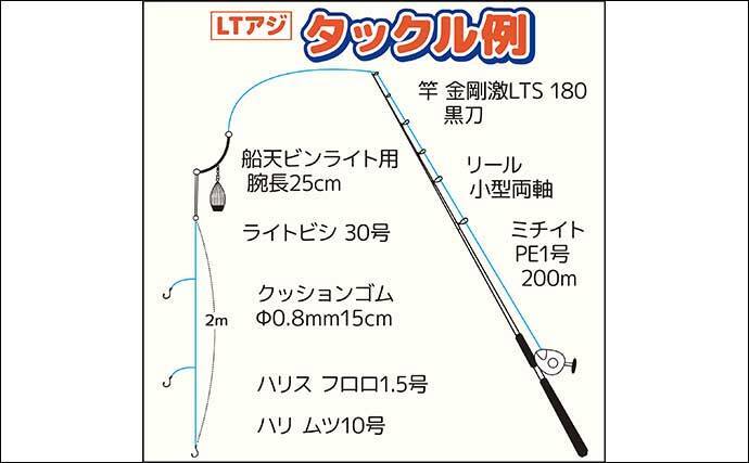東京湾LT（ライトタックル）アジ船で半日で100尾超え【横浜・黒川本家】
