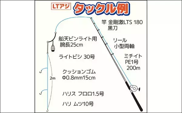 「東京湾LT（ライトタックル）アジ船で半日で100尾超え【横浜・黒川本家】」の画像