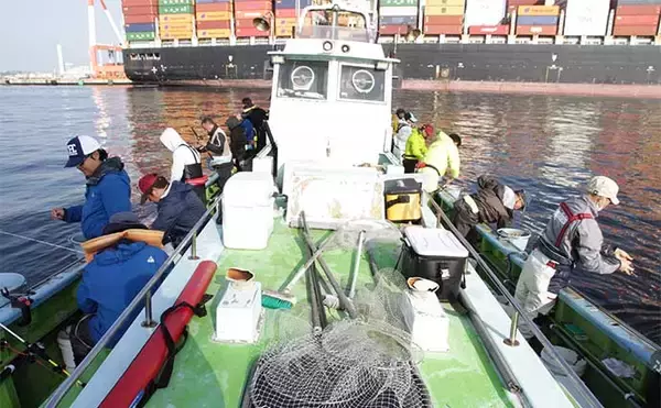「東京湾LT（ライトタックル）アジ船で半日で100尾超え【横浜・黒川本家】」の画像