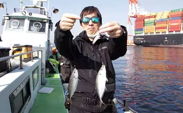 「東京湾LT（ライトタックル）アジ船で半日で100尾超え【横浜・黒川本家】」の画像