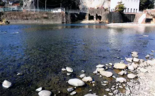 渓流釣り河川ポイント紹介2024：桂川水系（山梨）当たりなければ川虫採取を