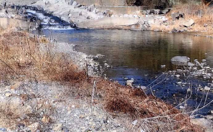 渓流釣り河川ポイント紹介2024：桂川水系（山梨）当たりなければ川虫採取を
