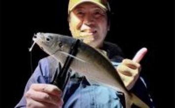 伊万里湾でバチコンアジング開幕【佐賀】シーズン初釣行でアジ連打も今後はサイズに期待