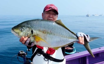 「船宿レコード4.42kgシマアジ現る！」大原沖のコマセ五目釣りで船中5尾＆イサキも好調【千葉】