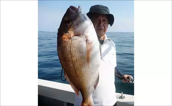 「【沖のルアー釣果速報】タイラバで好ゲスト！玄界灘にイシガキダイ現る（福岡）」の画像