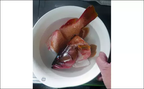 「釣魚で作る「鍋」レシピ：アカハタの寄せ鍋　煮込み時間は15分がベスト」の画像