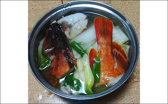 釣魚で作る「鍋」レシピ：アカハタの寄せ鍋　煮込み時間は15分がベスト