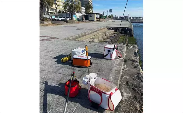 「ウキフカセ釣りで30cm超クロダイ連発！【静岡・浜名湖】フグの猛攻をかわして攻略」の画像