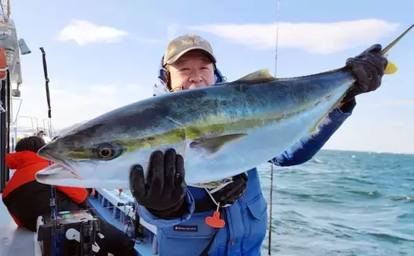 「【沖釣り釣果速報】伊良湖沖でブリ90cm級登場！寒ビラメも好機でイワシ泳がせ好調（愛知）」の画像