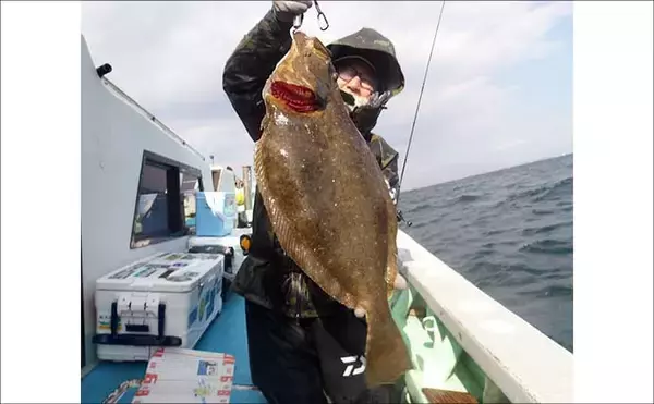 「【沖釣り釣果速報】伊良湖沖でブリ90cm級登場！寒ビラメも好機でイワシ泳がせ好調（愛知）」の画像