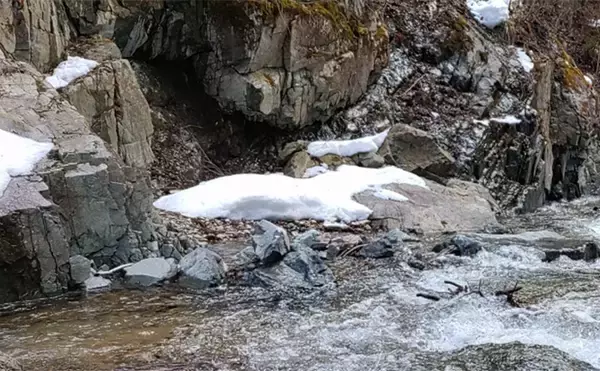 「渓流エサ釣りの【年間釣行計画】のススメ　解禁期間を最大限楽しむために！」の画像