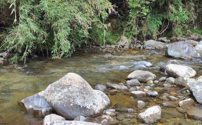 渓流エサ釣りの【年間釣行計画】のススメ　解禁期間を最大限楽しむために！