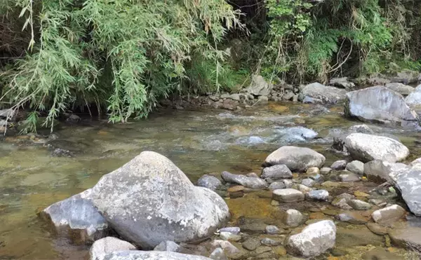「渓流エサ釣りの【年間釣行計画】のススメ　解禁期間を最大限楽しむために！」の画像