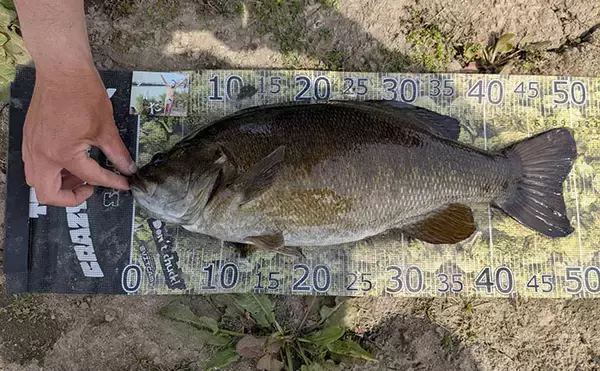 「超ハイレベルな接戦に！」 人気釣りYouTubeチャンネル主催のバス釣り大会に参加