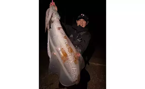 「４kgオーバー『レッドモンスター』アオリイカをついに獲った！【種子島】」の画像