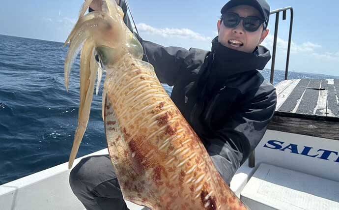 ４kgオーバー『レッドモンスター』アオリイカをついに獲った！【種子島】