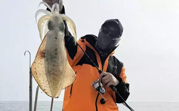 「４kgオーバー『レッドモンスター』アオリイカをついに獲った！【種子島】」の画像