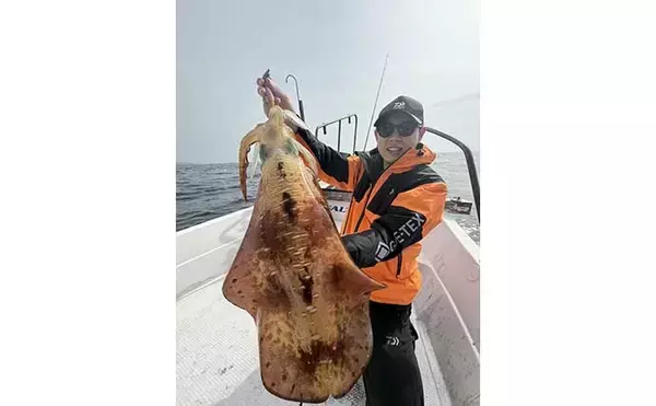 「４kgオーバー『レッドモンスター』アオリイカをついに獲った！【種子島】」の画像