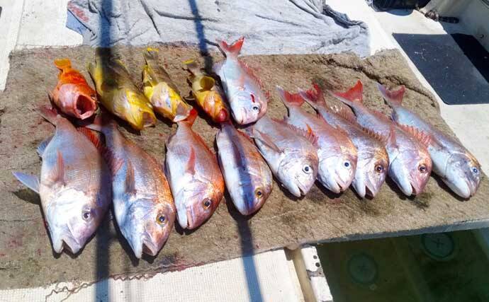 「イカ流し釣り」で本命マダイが好反応！2桁釣果達成【船釣り最新情報6選・長崎／佐賀】