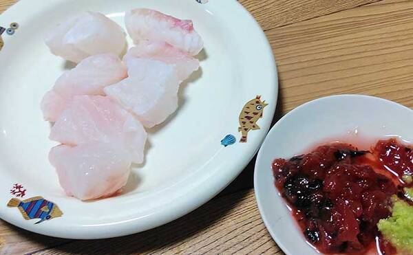 釣魚レシピ オオモンハタの霜降り 熟成魚の食感を再生させる方法とは 22年1月18日 エキサイトニュース