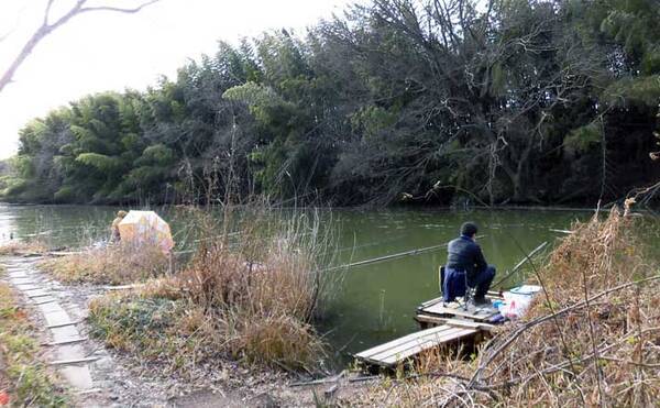 今週のヘラブナ推薦釣り場 埼玉県 明秋川筋 22年2月1日 エキサイトニュース