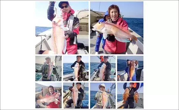 「【船のエサ釣り釣果速報】関門海峡で良型コウイカがヒット中！（福岡）」の画像