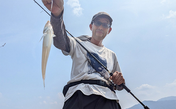 エギングタックルのちょい投げ釣りでシロギス25匹【京都府】潮目狙いで20cm超え良型が連発!