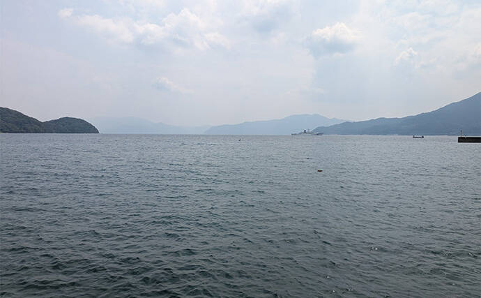 エギングタックルのちょい投げ釣りでシロギス25匹【京都府】潮目狙いで20cm超え良型が連発！