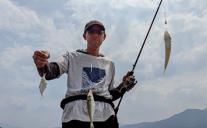 エギングタックルのちょい投げ釣りでシロギス25匹【京都府】潮目狙いで20cm超え良型が連発！