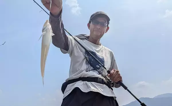 「エギングタックルのちょい投げ釣りでシロギス25匹【京都府】潮目狙いで20cm超え良型が連発！」の画像