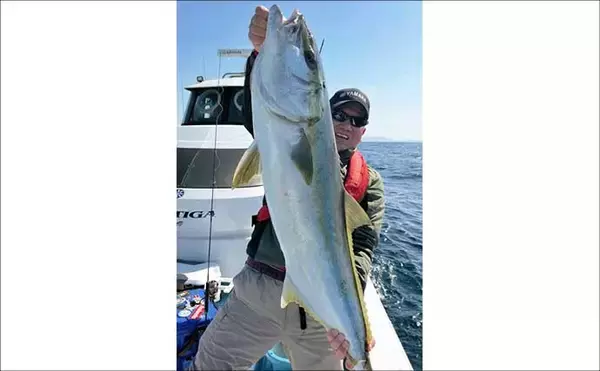 「五島灘のSLJ・タイラバでアコウ2kg級含め船中40尾手中【Fisher526】ヒラマサ気配も濃厚」の画像