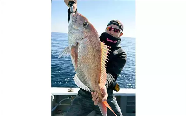 「【沖のルアー釣果速報】ヤリイカ半夜便で船中トップ30匹も！三重沖イカメタルが好調（三重）」の画像