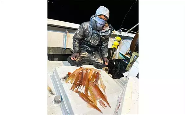 「【沖のルアー釣果速報】ヤリイカ半夜便で船中トップ30匹も！三重沖イカメタルが好調（三重）」の画像