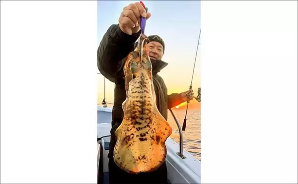「【沖のルアー釣果速報】ヤリイカ半夜便で船中トップ30匹も！三重沖イカメタルが好調（三重）」の画像