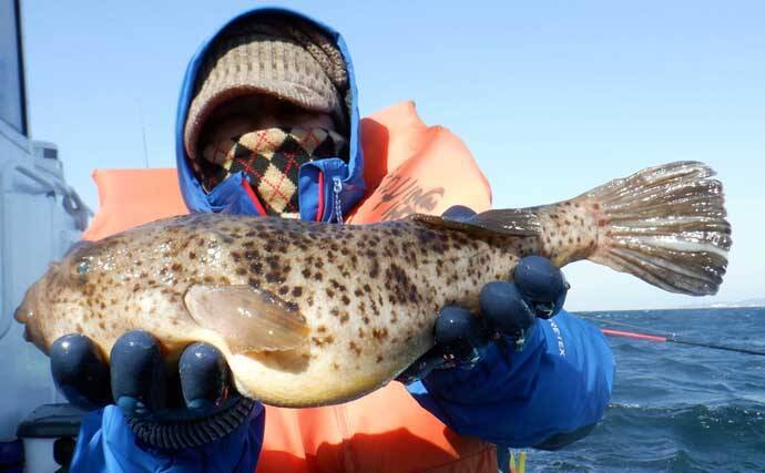 【沖釣り釣果速報】10kg超ブリ浮上に船上熱狂！イワシの泳がせ釣りで全員安打達成（愛知）