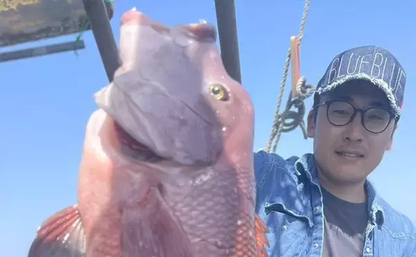 「【イサキSLJ】今季初釣行で本命10匹に特大ゲスト3連発！（山口・角島沖）」の画像