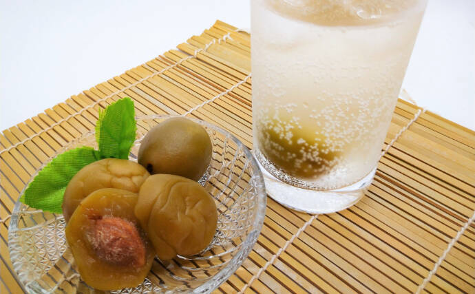 田んぼの大敵「ジャンボタニシ」対策に秘策登場！ 梅酒作りに使われた後の「漬け梅」が効く？