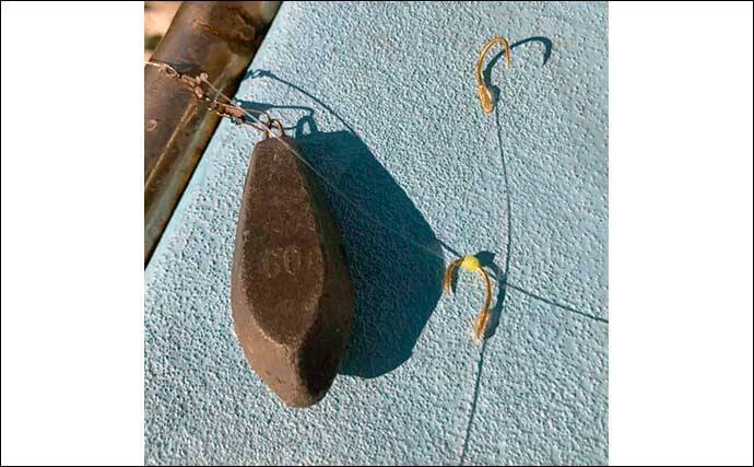 浅場での泳がせ釣りで青物クーラー満タン　好ゲストにヒラメも顔出し