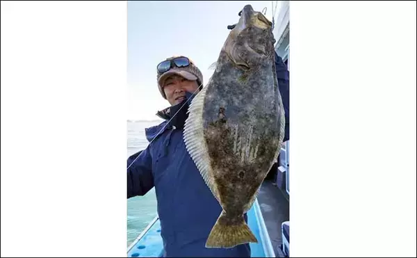 「浅場での泳がせ釣りで青物クーラー満タン　好ゲストにヒラメも顔出し」の画像