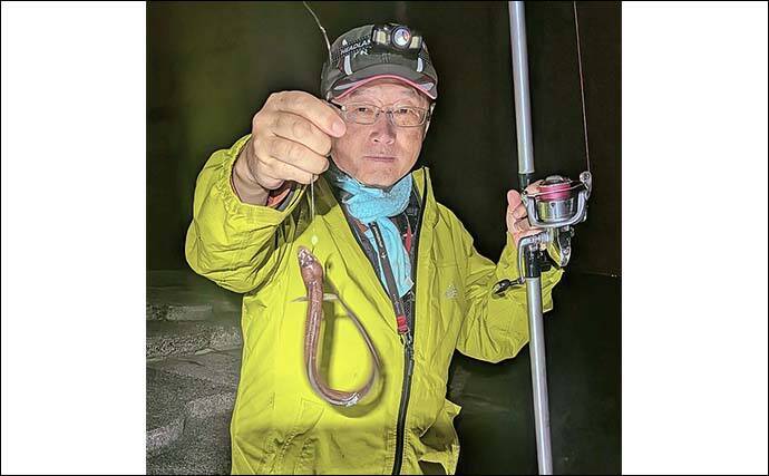 大野海岸周辺の投げ釣りで40cm級アナゴ3匹キャッチ【愛知】海藻消失で状況一変