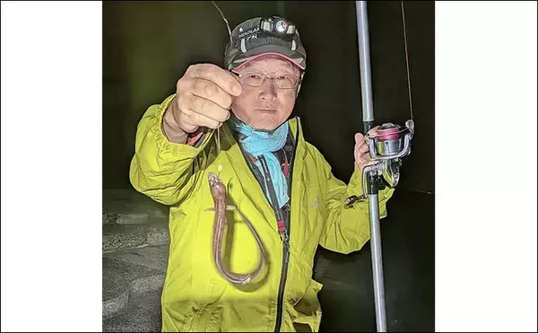 「大野海岸周辺の投げ釣りで40cm級アナゴ3匹キャッチ【愛知】海藻消失で状況一変」の画像