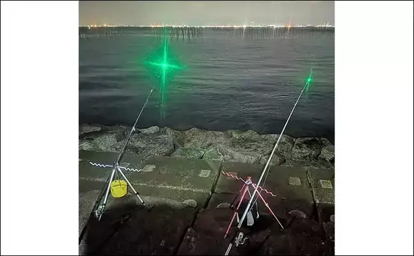 「大野海岸周辺の投げ釣りで40cm級アナゴ3匹キャッチ【愛知】海藻消失で状況一変」の画像