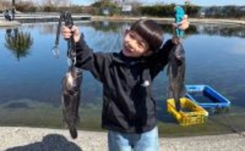 海の管理釣り場ルアー釣りでクロソイが連発！【海上釣り堀最新情報・愛知／三重】